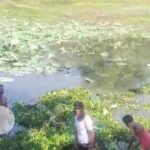 नगर पंचायत मल्हार में तालाबों का जीर्णोद्धार साफ सफाई, तालाबों की स्वच्छता से बढ़ेगी नगर की सुन्दरता धनेश्वरी केंवट अध्यक्ष नपं मल्हार ।